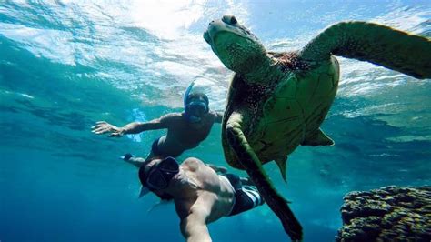 Vieques Island Snorkeling N Beach Tour