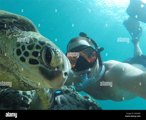 Waikiki Sea Turtle Snorkeling